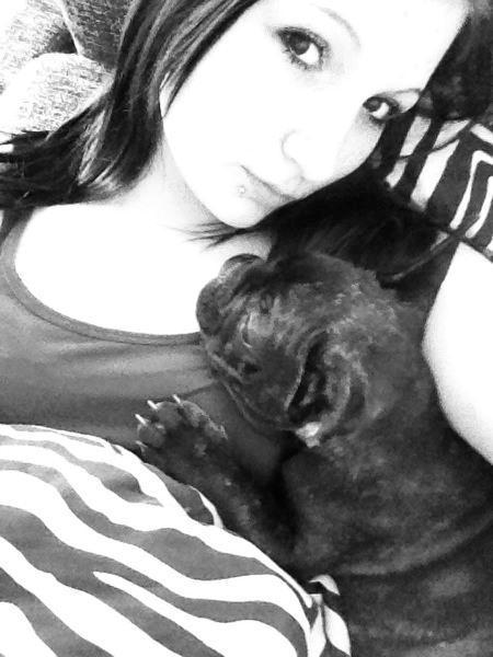 Fransk bulldog Kenzi billede 40