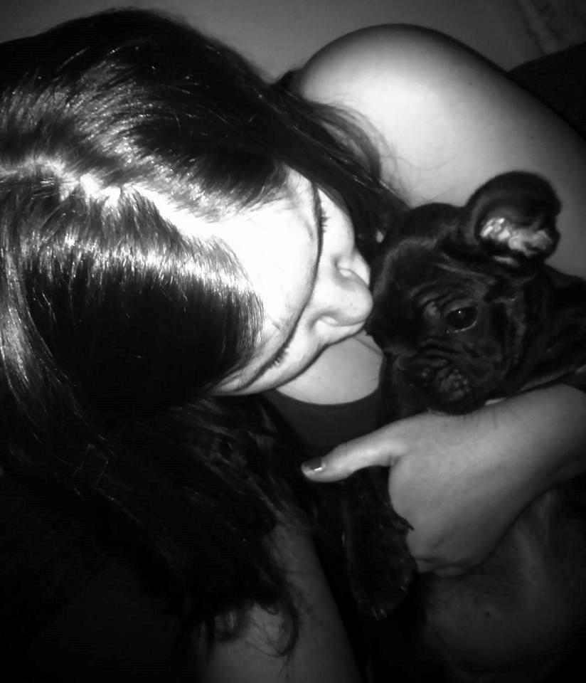 Fransk bulldog Kenzi billede 45