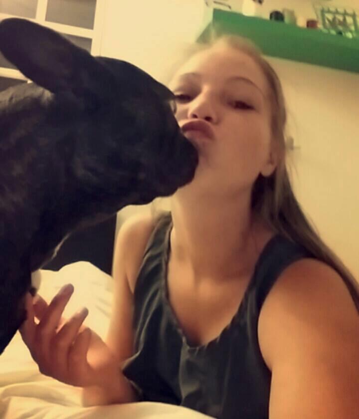 Fransk bulldog Kenzi billede 46