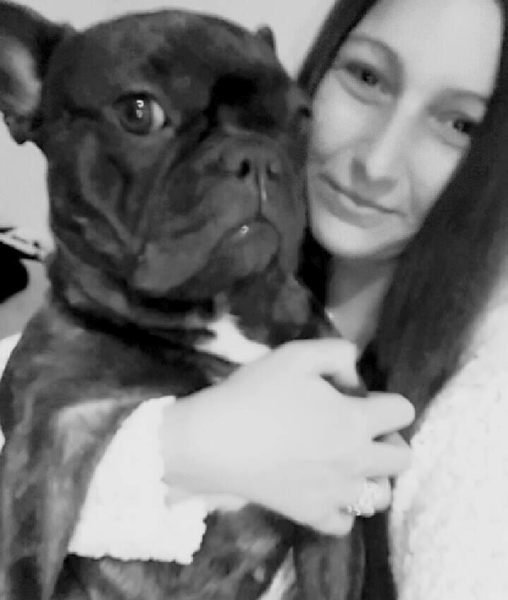 Fransk bulldog Kenzi billede 47