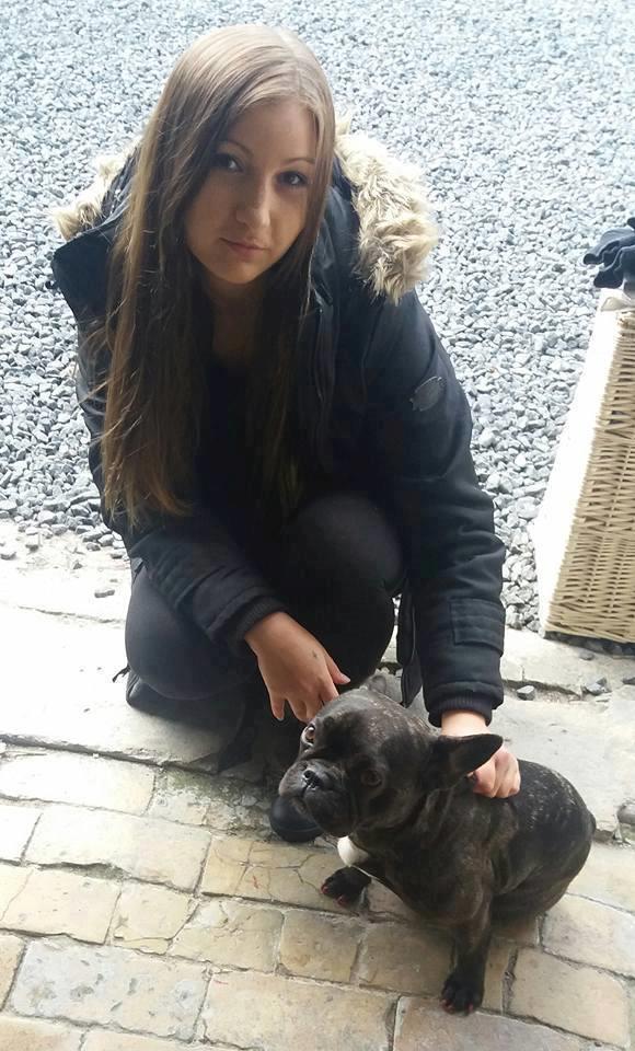 Fransk bulldog Kenzi billede 48