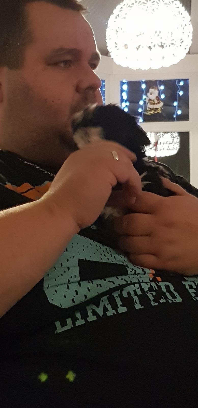 Lhasa apso Koda Von Moisen of HAKUNA MATATA (Aka Paddy) billede 10