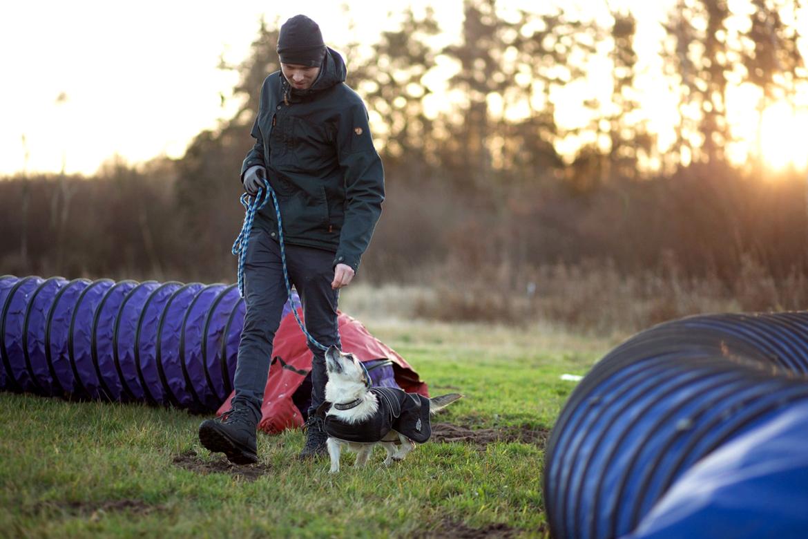 Blanding af racer Karla - Foto af Michelle fra Hjertehund billede 23