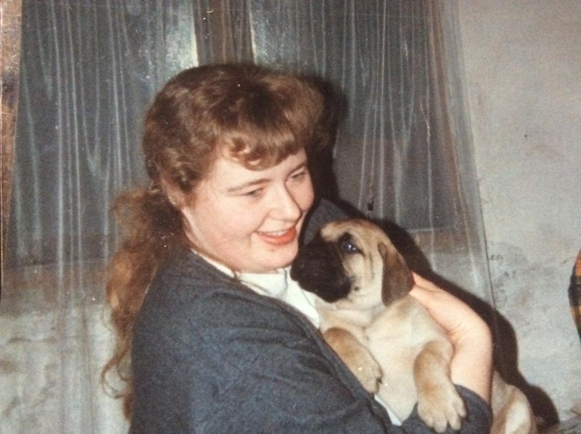 Bullmastiff Bastian “himmelhund” billede 14