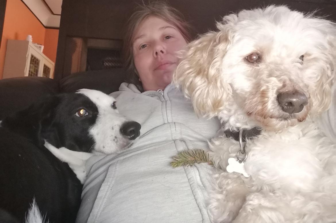 Mellempuddel Scooby Doo billede 7