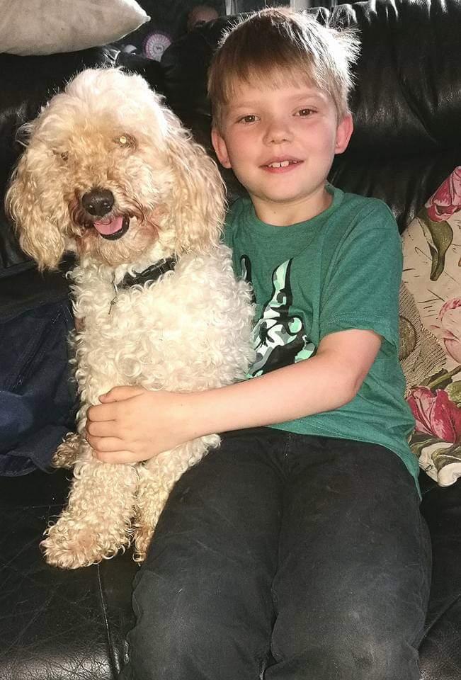 Mellempuddel Scooby Doo billede 16