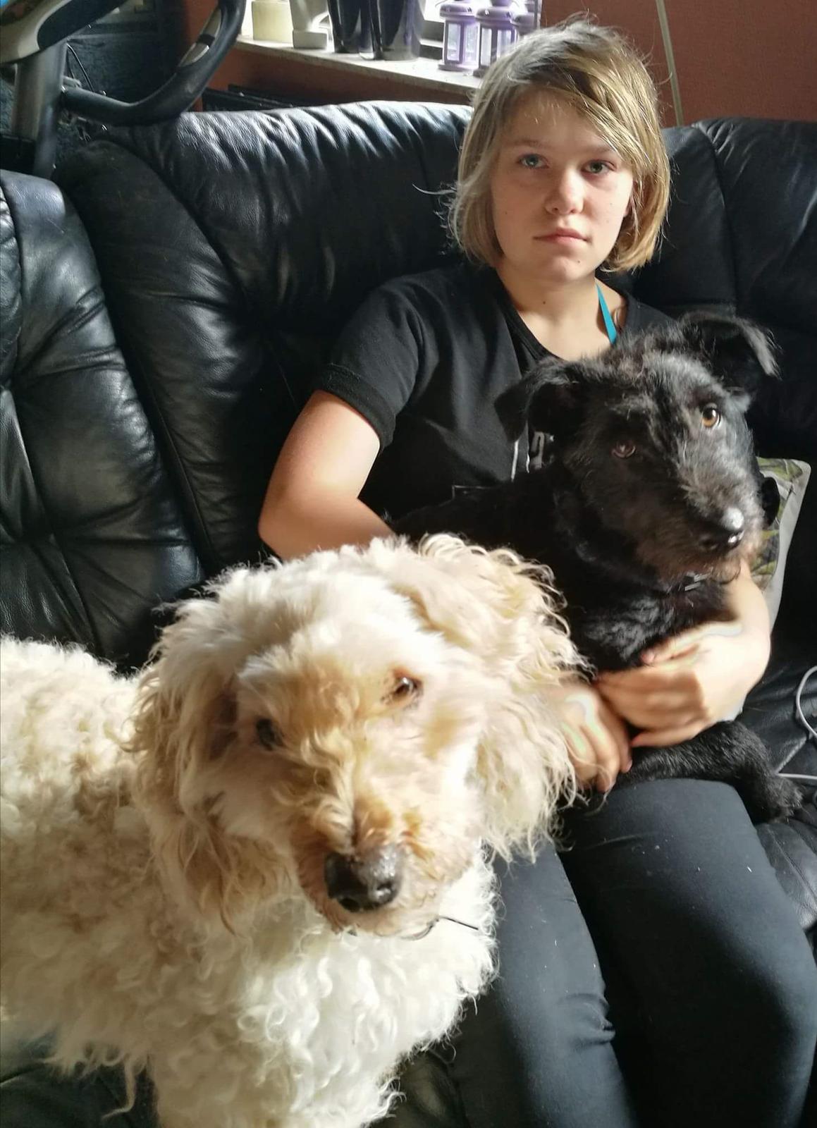 Mellempuddel Scooby Doo billede 21