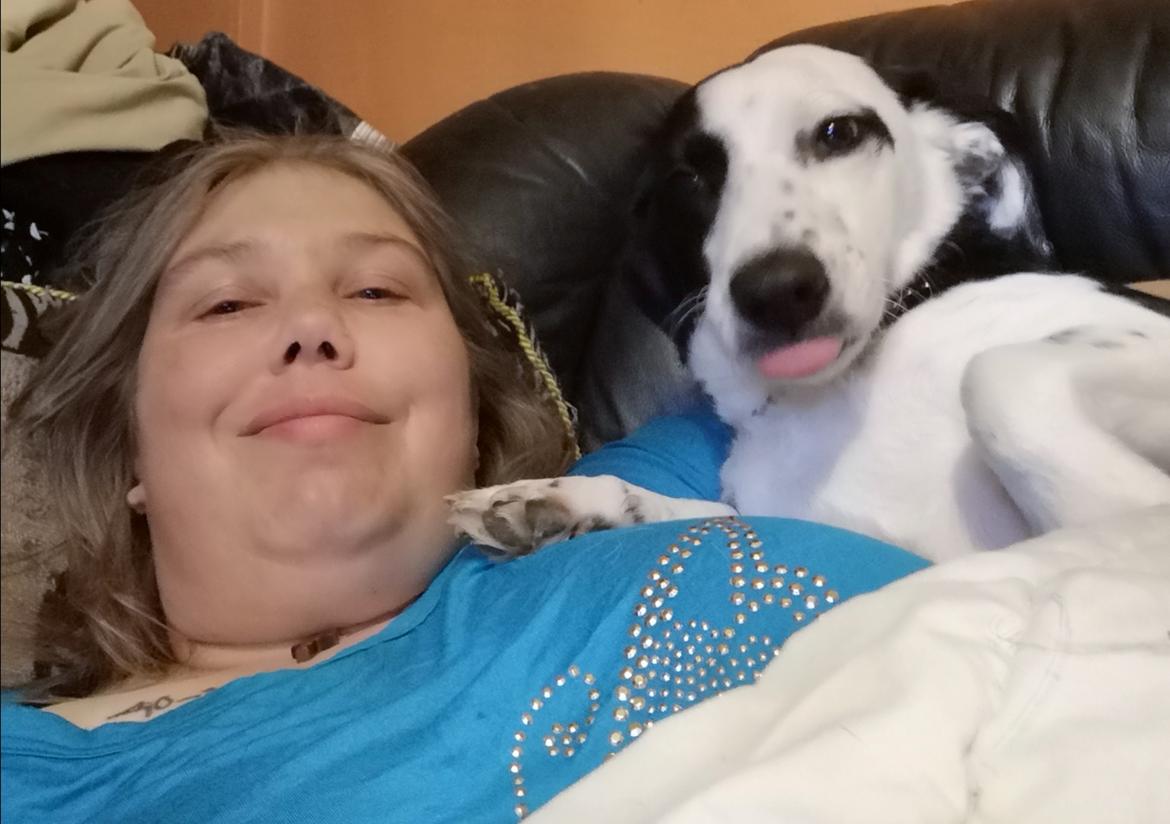 Blanding af racer Mowgli  billede 19