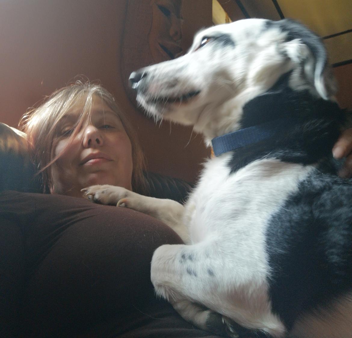 Blanding af racer Mowgli  billede 22