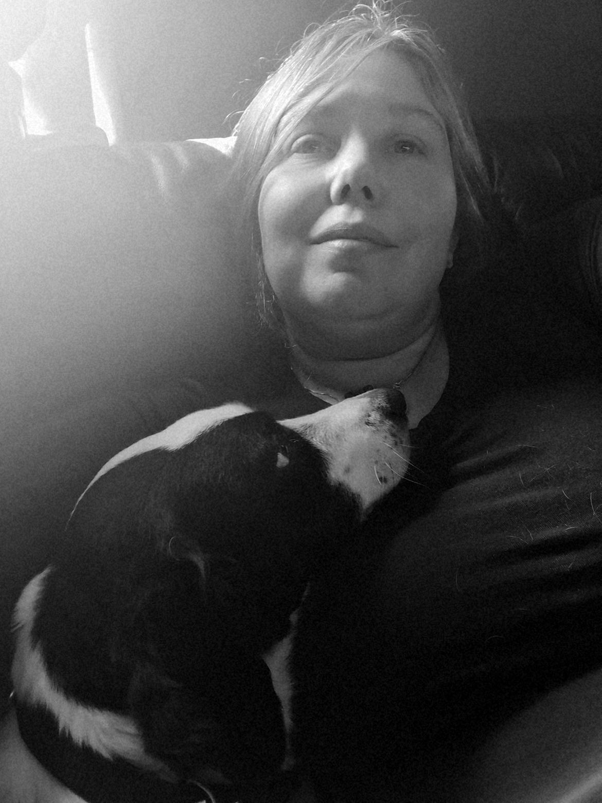 Blanding af racer Mowgli  billede 23