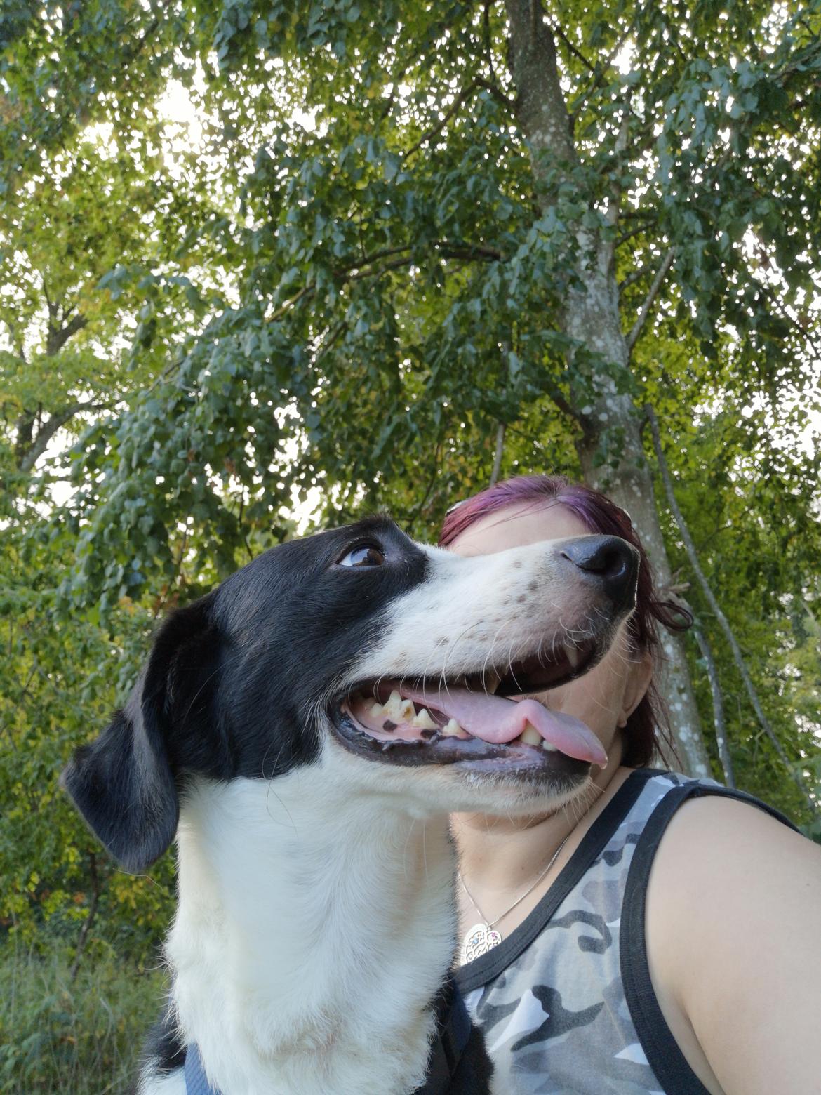 Blanding af racer Mowgli  billede 25