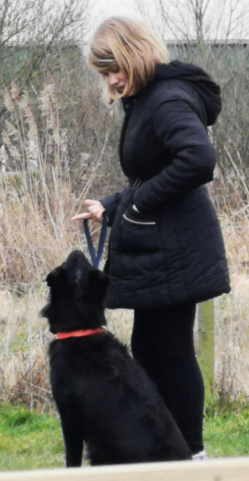 Blanding af racer Laika  billede 2