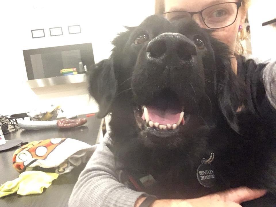 Blanding af racer Bentley billede 14