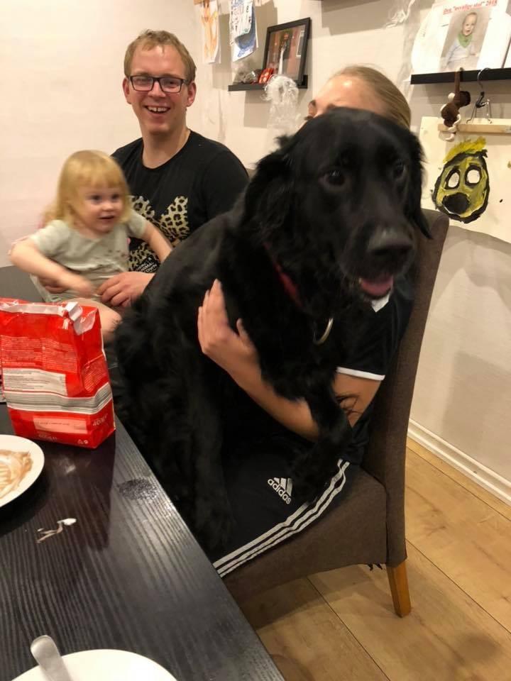 Blanding af racer Bentley billede 18