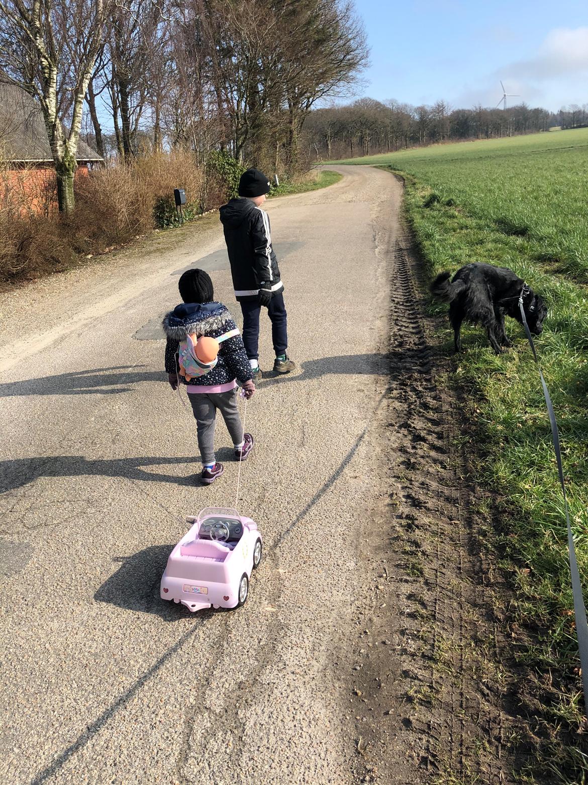 Blanding af racer Bentley billede 19