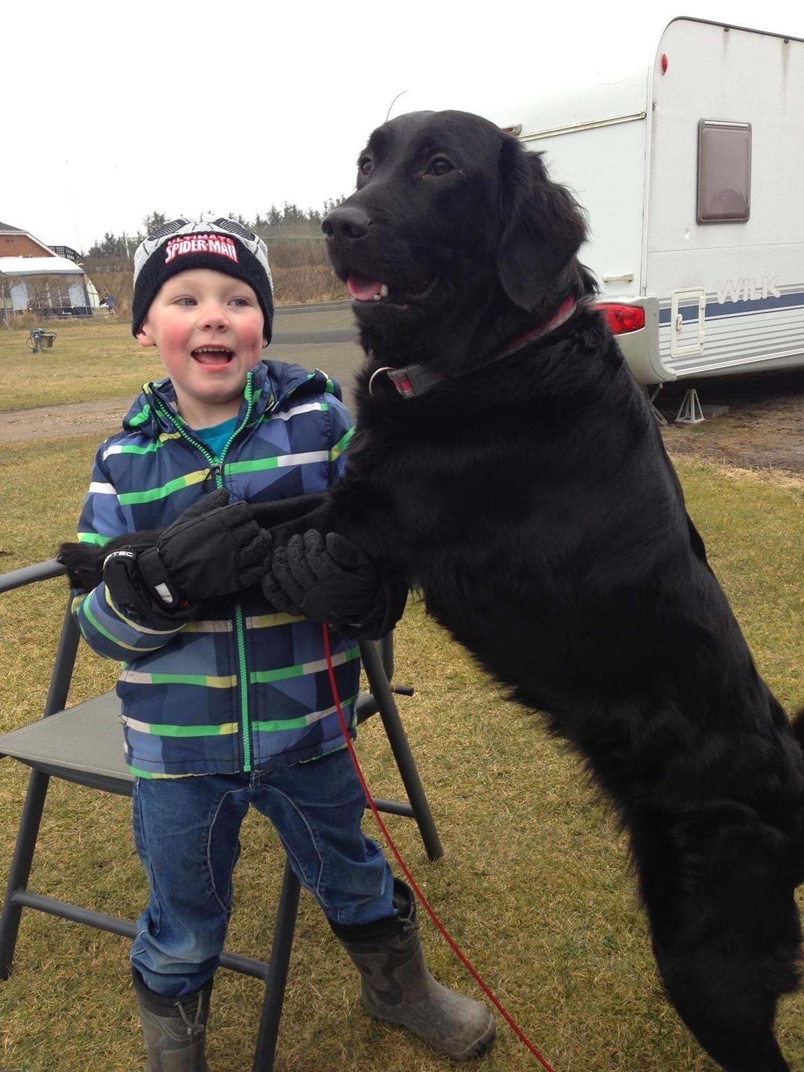 Blanding af racer Bentley billede 22