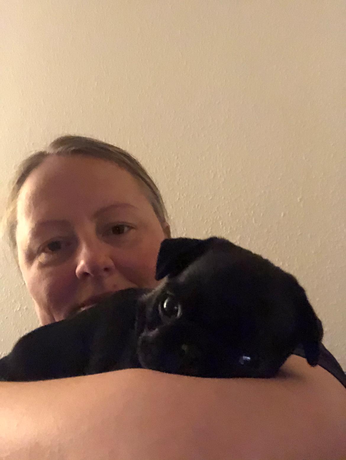 Mops Ruth billede 10