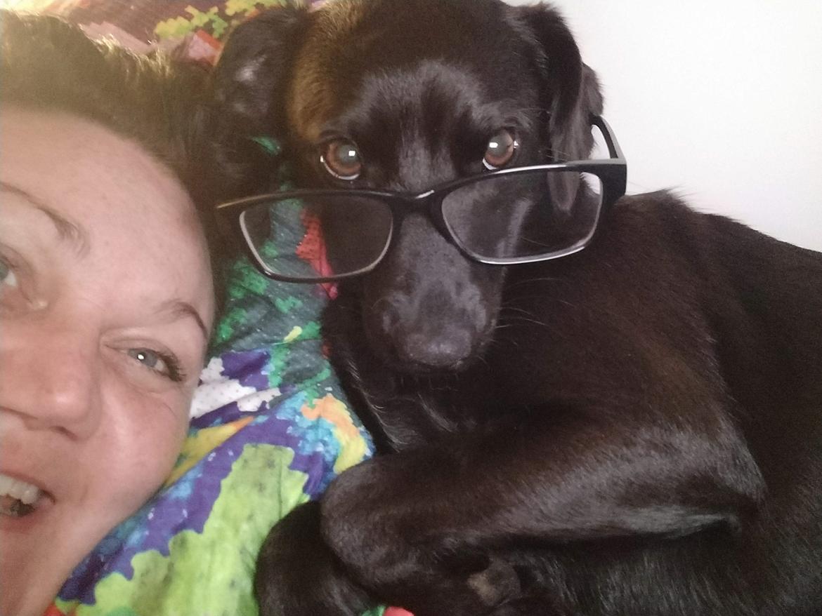 Blanding af racer Bella billede 7