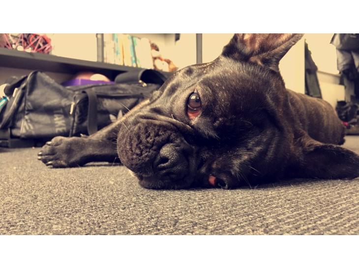 {{currentPhoto.altText}} billede {{currentPhoto.number}}