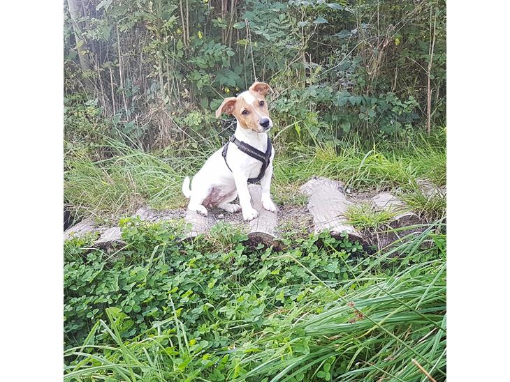 {{currentPhoto.altText}} billede {{currentPhoto.number}}