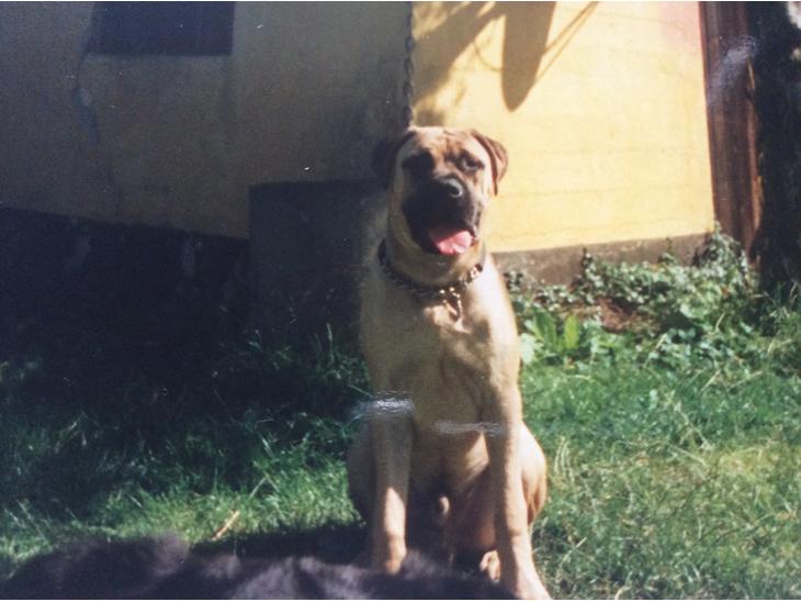 {{currentPhoto.altText}} billede {{currentPhoto.number}}