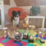 Blanding af racer Aya Stempelqvist