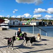 Blanding af racer Aya Stempelqvist