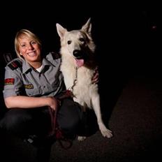 Hvid Schweizisk Hyrdehund Zero 27 Marts 2004 - 07 august 2015