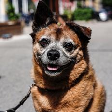 Blanding af racer Feike 