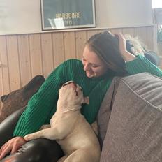 Fransk bulldog Fister