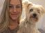 Blanding af racer (Malteser/Yorkshire terrier)