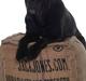 Cane corso Batman 