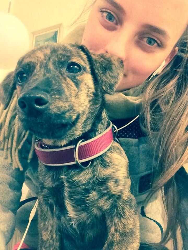 Blanding af racer TIlde billede 1