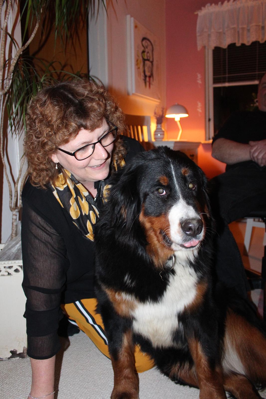 Berner sennenhund Terplinggaard's Mynte (Bailey) billede 8