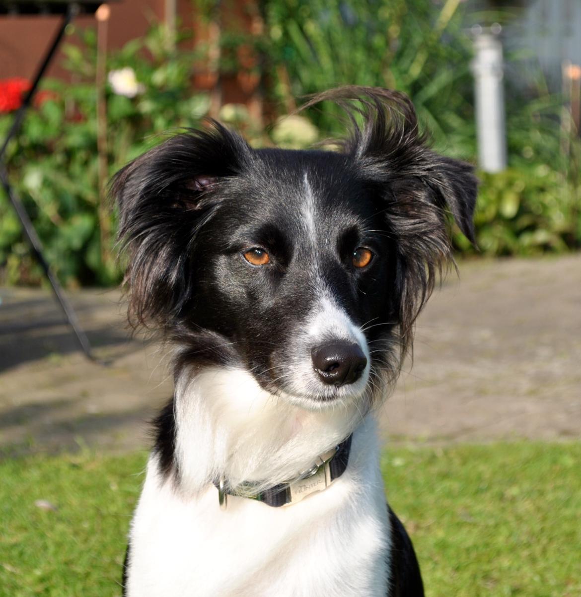 Blanding af racer Aya Stempelqvist billede 1