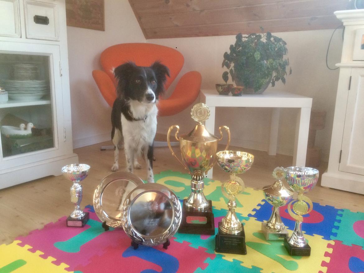 Blanding af racer Aya Stempelqvist billede 3