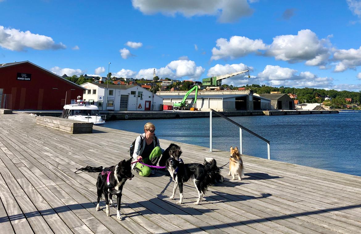 Blanding af racer Aya Stempelqvist billede 4