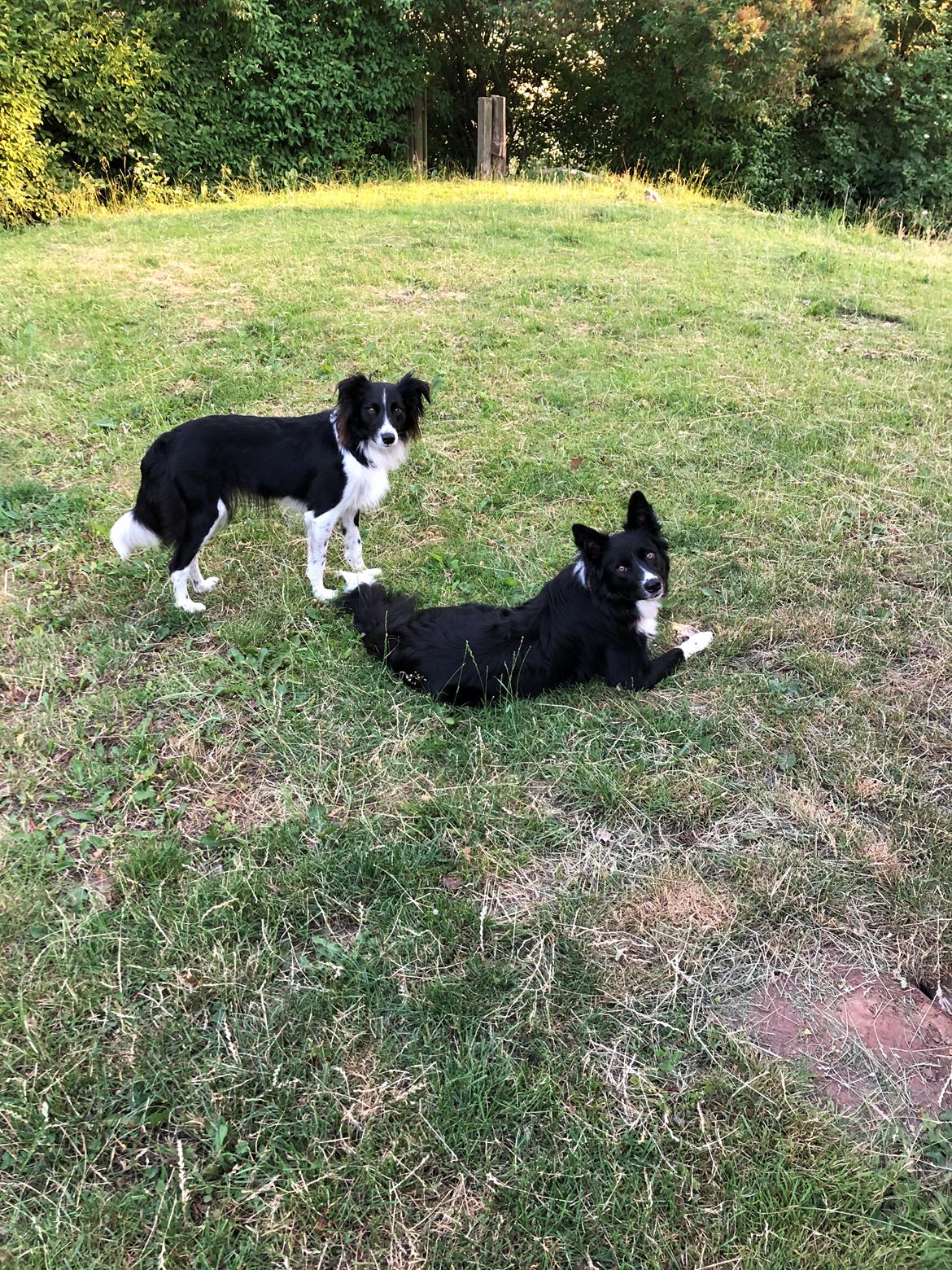 Blanding af racer Aya Stempelqvist billede 5