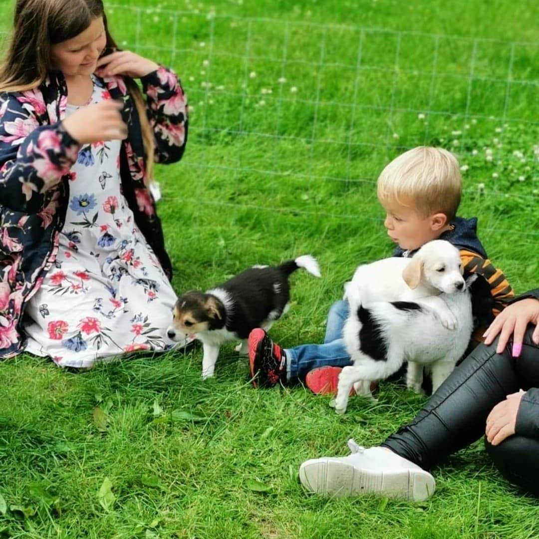 Blanding af racer Niels billede 4