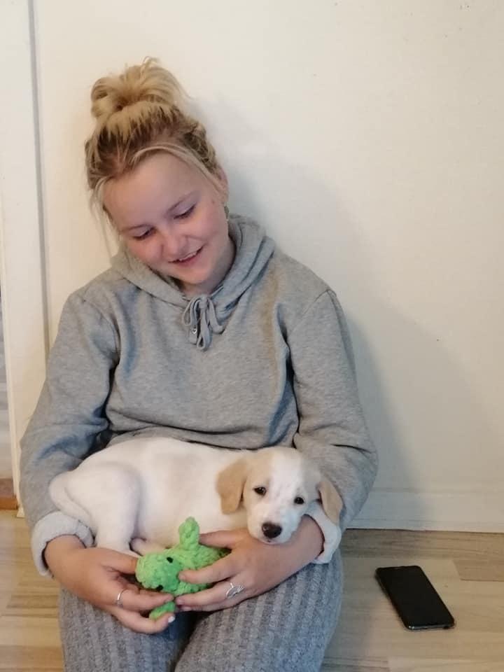 Blanding af racer Niels billede 5