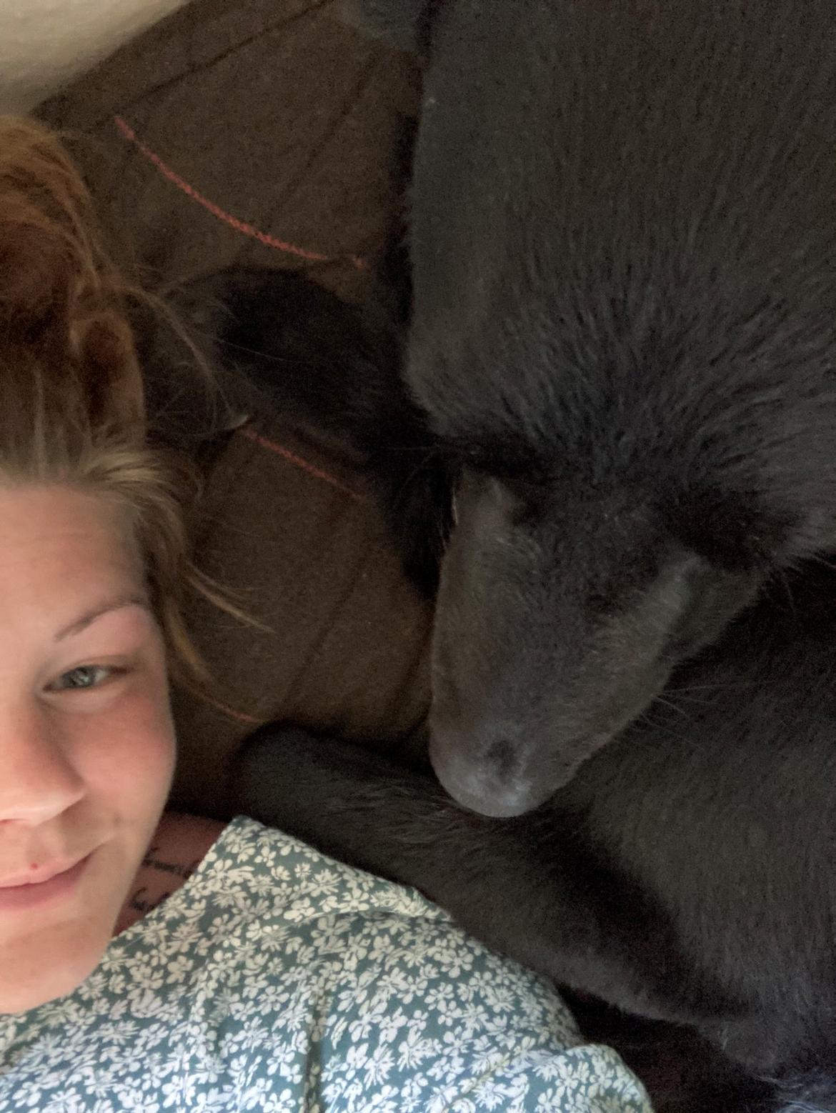 Blanding af racer Santos billede 10