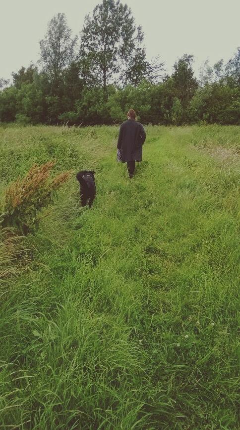 Blanding af racer Santos billede 9