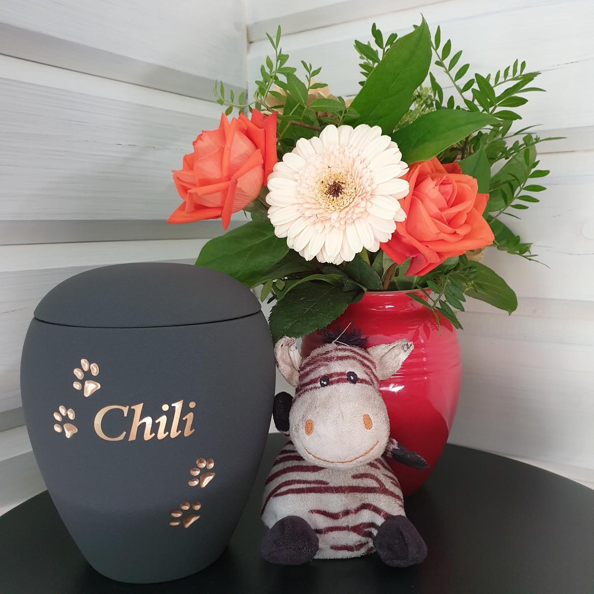 Shar pei Chili - Fik hende hjem i denne smukke urne.... billede 3