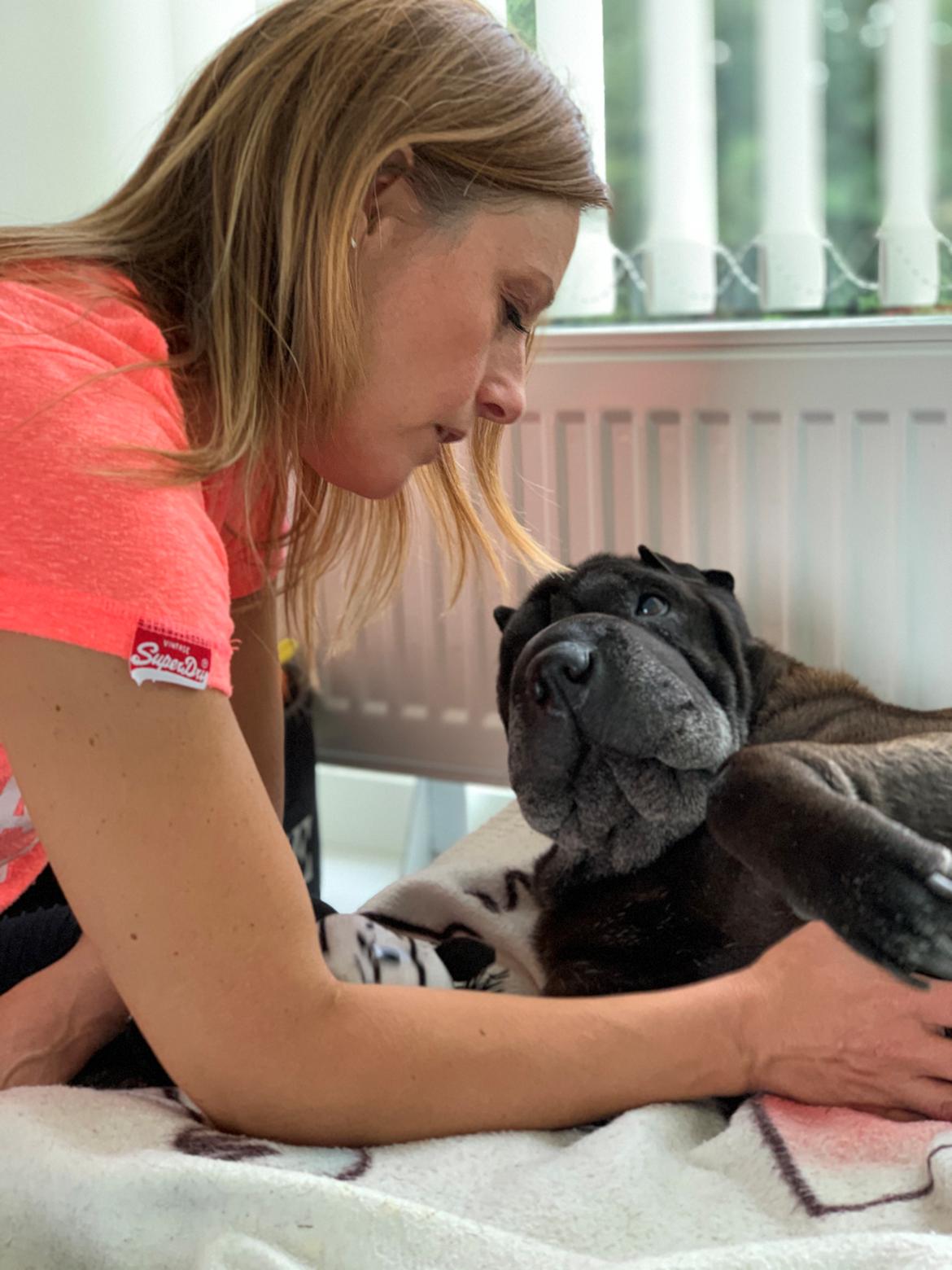 Shar pei Chili - Dagen inden hun skulle rejse afsted. billede 2