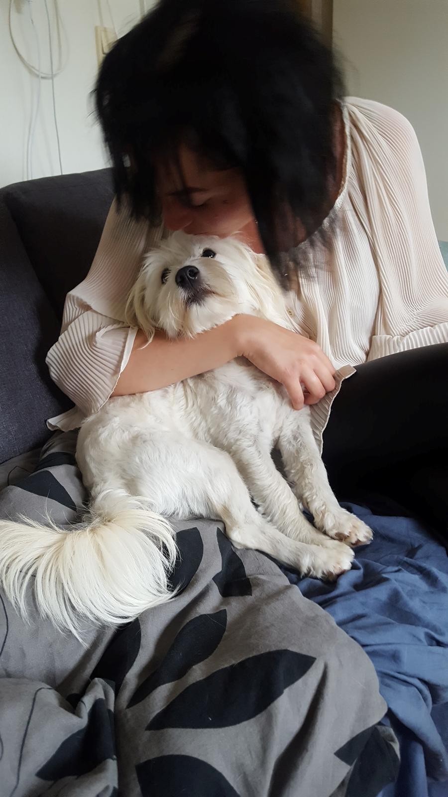 Blanding af racer Luna billede 19