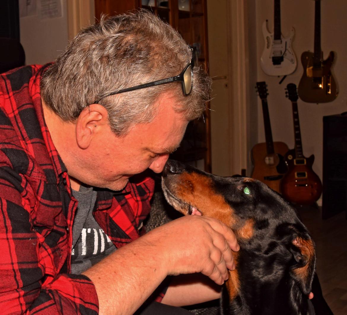 Dobermann Ulla billede 6