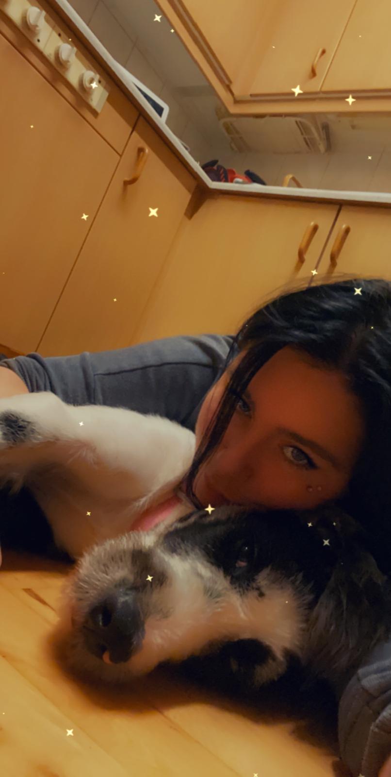 Blanding af racer Trunte  billede 32