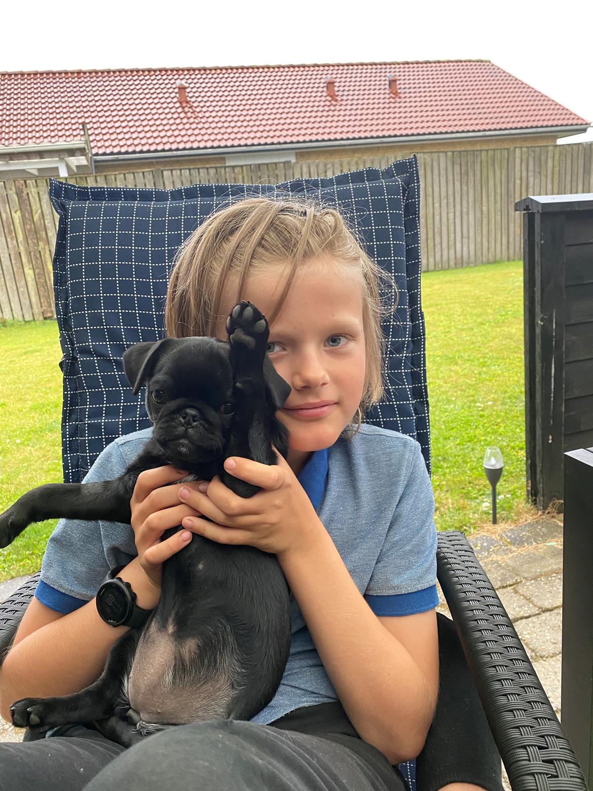 Mops Ruth billede 15