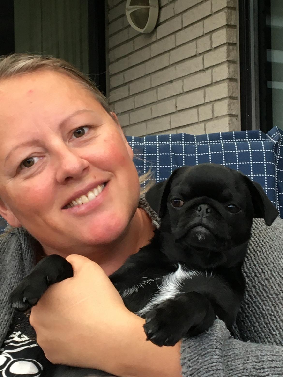 Mops Ruth billede 14