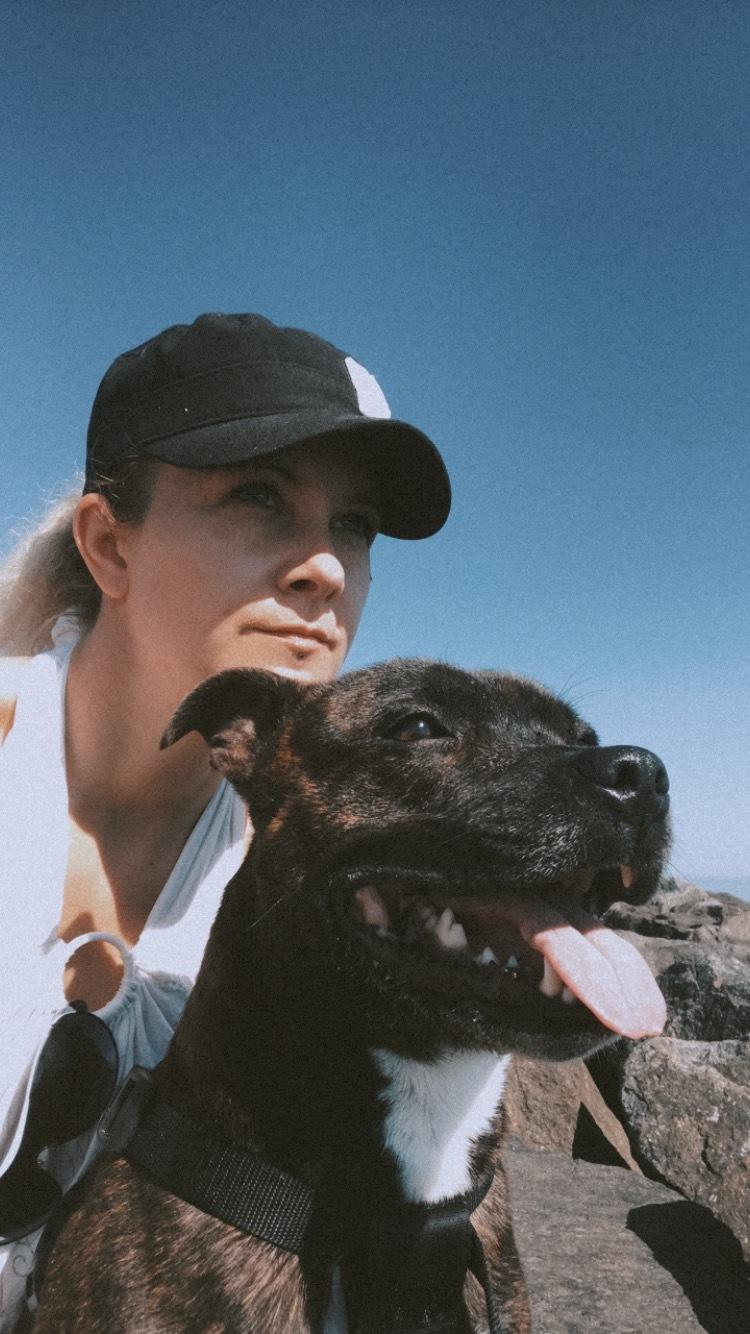 Staffordshire bull terrier Lundgaards Scar *Charlie* billede 32